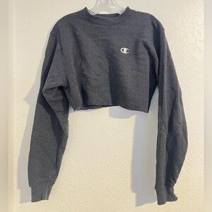 champion cropped sweater